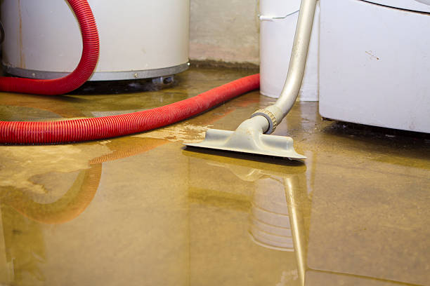 Best Water damage restoration cost  in Coquille, OR