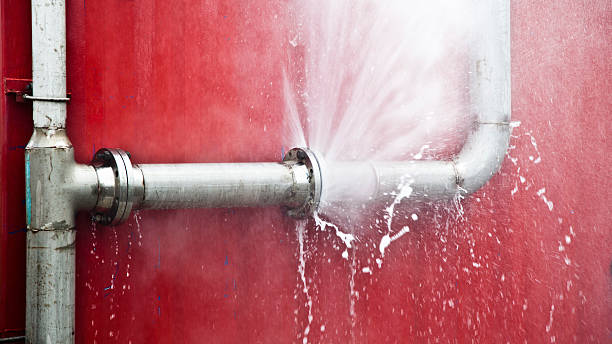 Best Water damage restoration mold remediation  in Coquille, OR